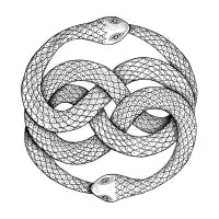 The Auryn - design