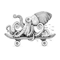 The Common Atlantic Skateopus - design