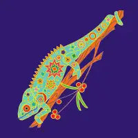 Chameleon - design
