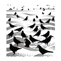 Not Counting Crows - design