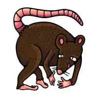 Rat - design