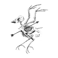 bird - design