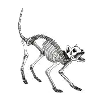 Cat - design