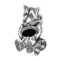 mapache - design