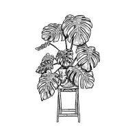 Plantas - design