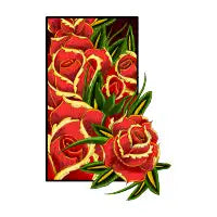roses - design