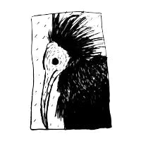 Walldrapp Ibis - design