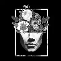 Divide - design