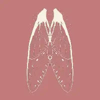 Fairy - design