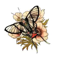 Andean Bee - design
