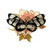 Glasswing Butterfly - design