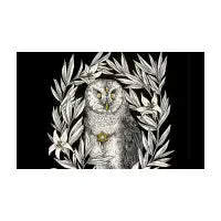 Owl - design
