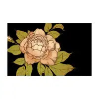 Rose - design