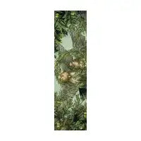 Saturnalia - design