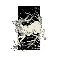 Yakul - design