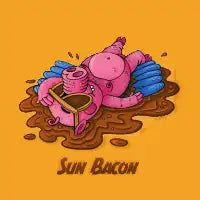 Sun Bacon - design