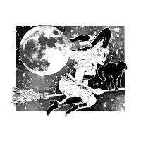 Witch on Broom - design