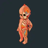 Kewpie Dissected - design