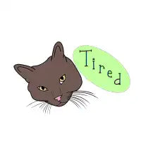 Tired - Chonky Cat Head - design