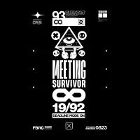 Meeting Survivor - design