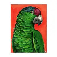 Parrot Portrait - design
