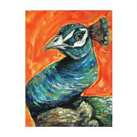 Peacock Portrait - design