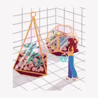 Bloom - design