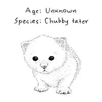 Chubby Tater - design