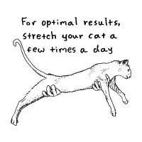 Stretch your cat - design