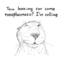 Toxoplasmosis - design