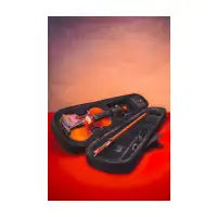 Violin in a case - design