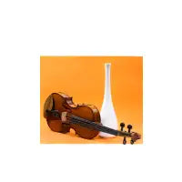 Violin - design