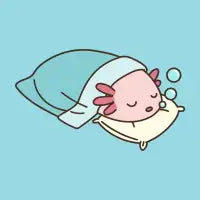 Axolotl Napsolotl - design