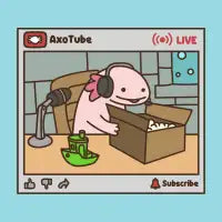Axolotl Streamsolotl - design