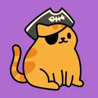 Pirate Kitty - design