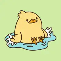 Splashy Duck - design
