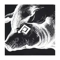 Pig Arrowed - design