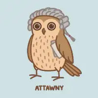 Attawny - design