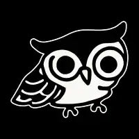 Badly Drawn Owl - design