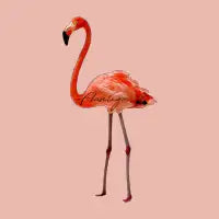 Flamingo - design