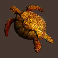 Inti Turtle - design