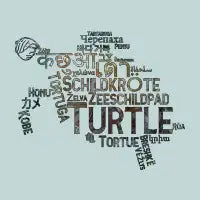 Turtle Word Cloud - design