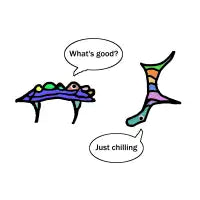 What's good? - design