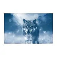 Wolf with Blue Eyes - design
