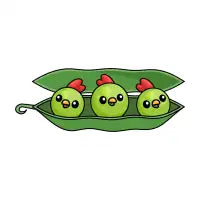 Chickpeas - design
