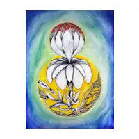 BLOOM - design