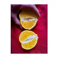 Orange - design