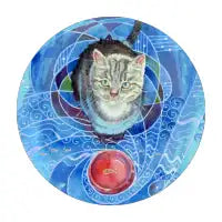 Can I Has Tuna? - design