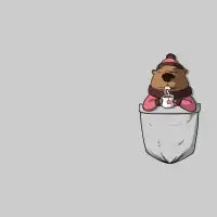 Groundhog pocket - design