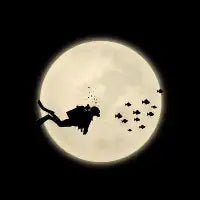 Space diver - design
